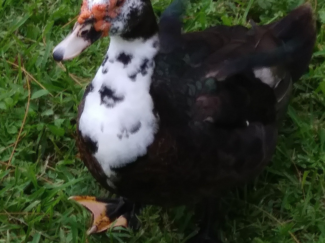 热带公园-迈阿密必去景点