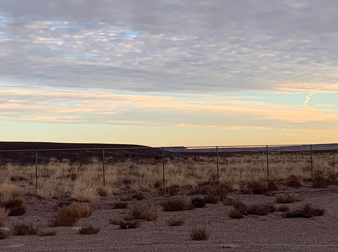 Crystal Forest Museum & Gift Shop-霍尔布鲁克必去景点