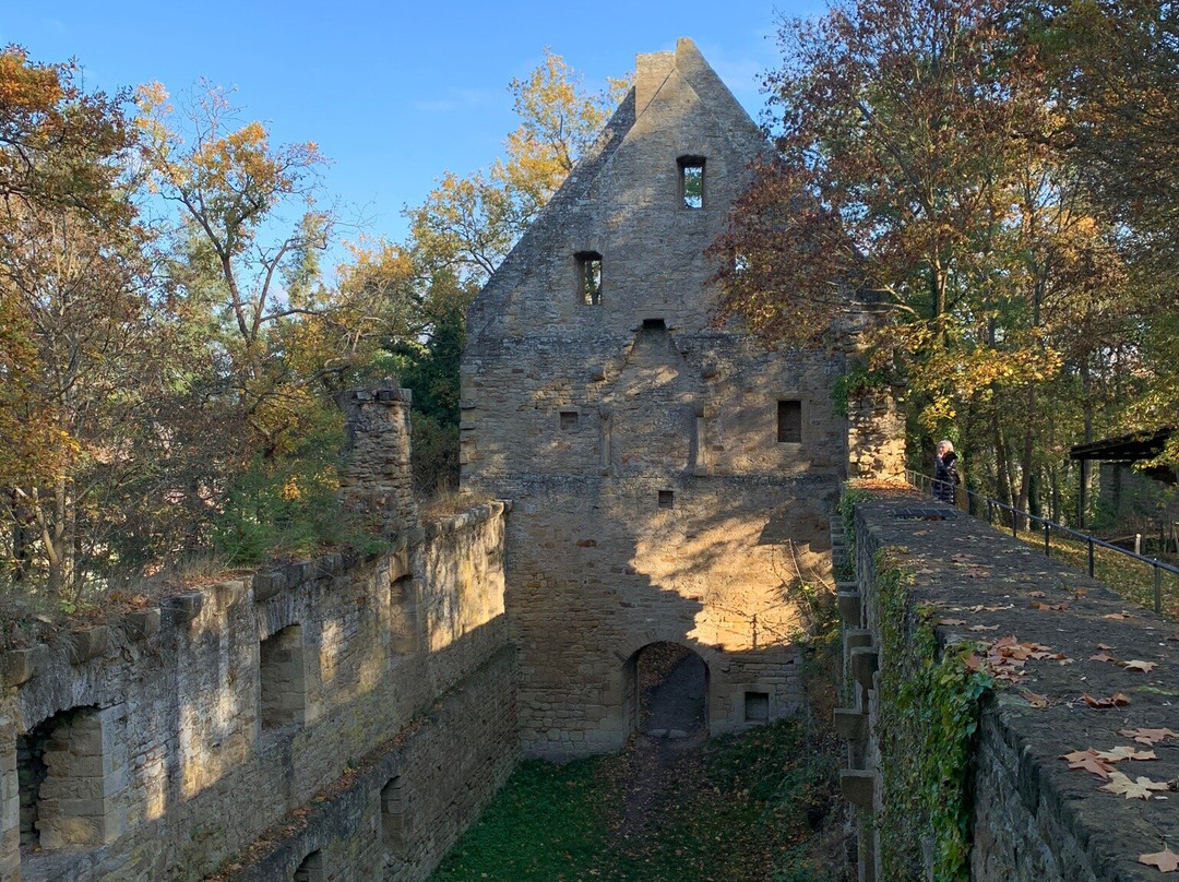 Klosterruine Disibodenberg (Hildegard von Bingen)景点图片