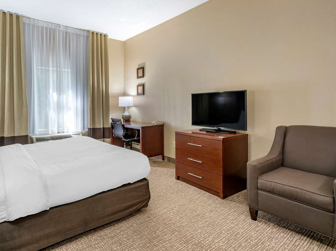 Comfort Inn & Suites主图
