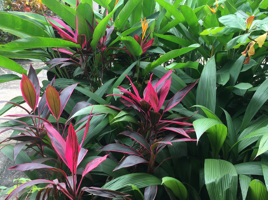 海逸安朱纳酒店主图