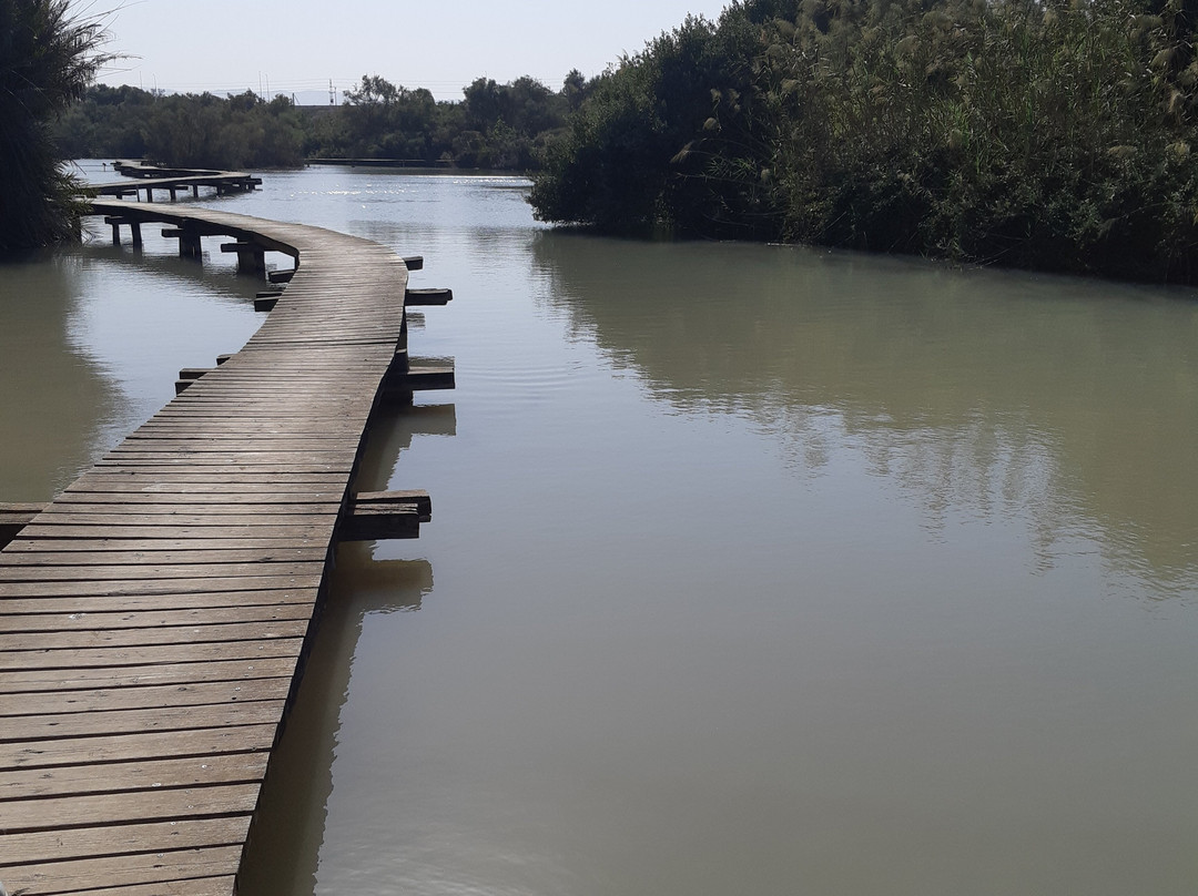 En Afek Nature Reserve景点图片