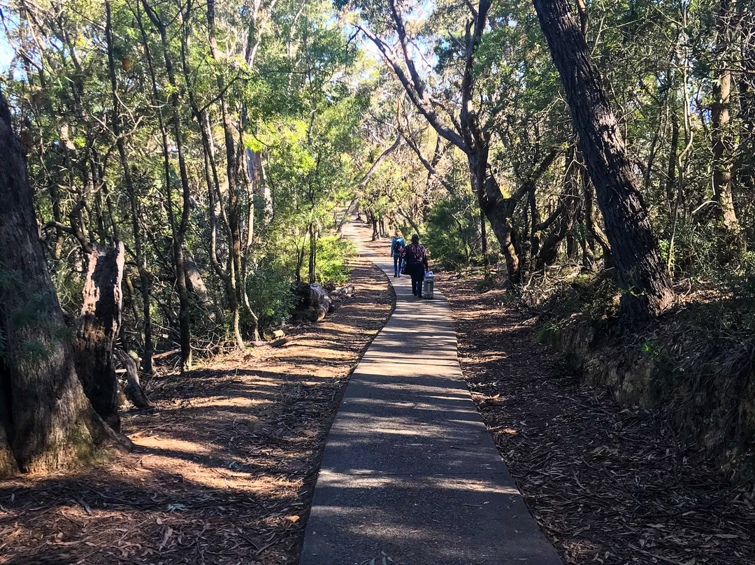 Sublime Point Lookout-鲁拉镇必去景点