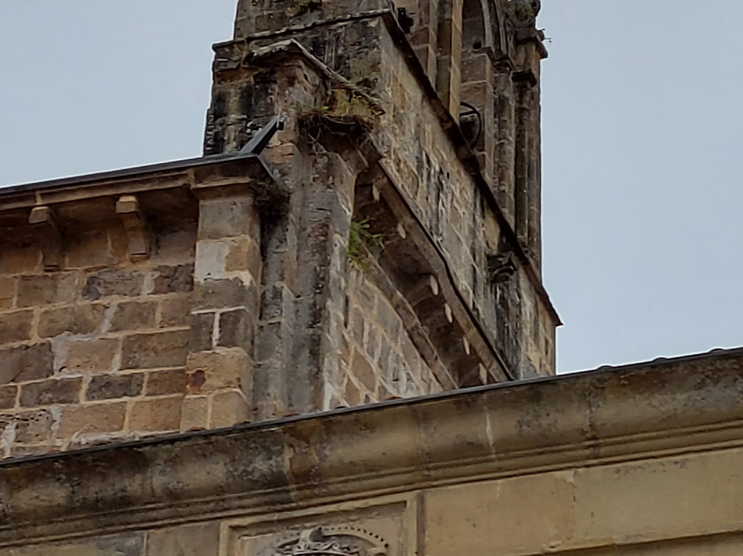 Iglesia de San Salvador de Valdedios景点图片