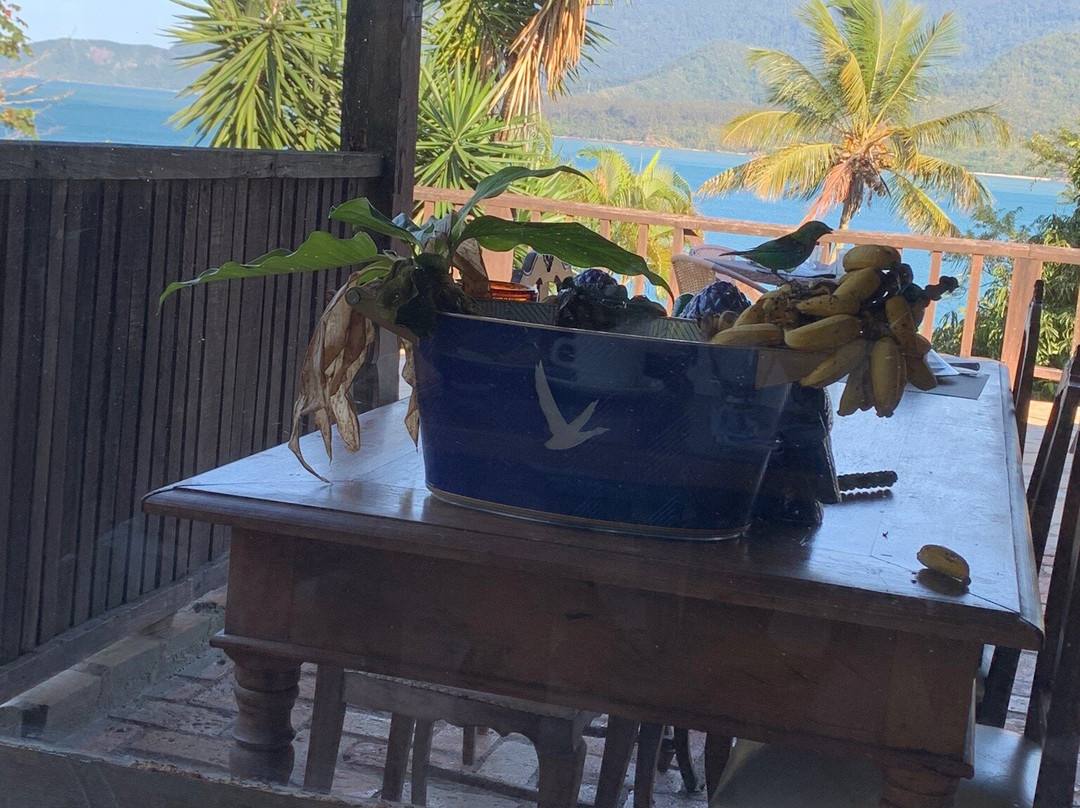 Hotel Boutique Ananas主图