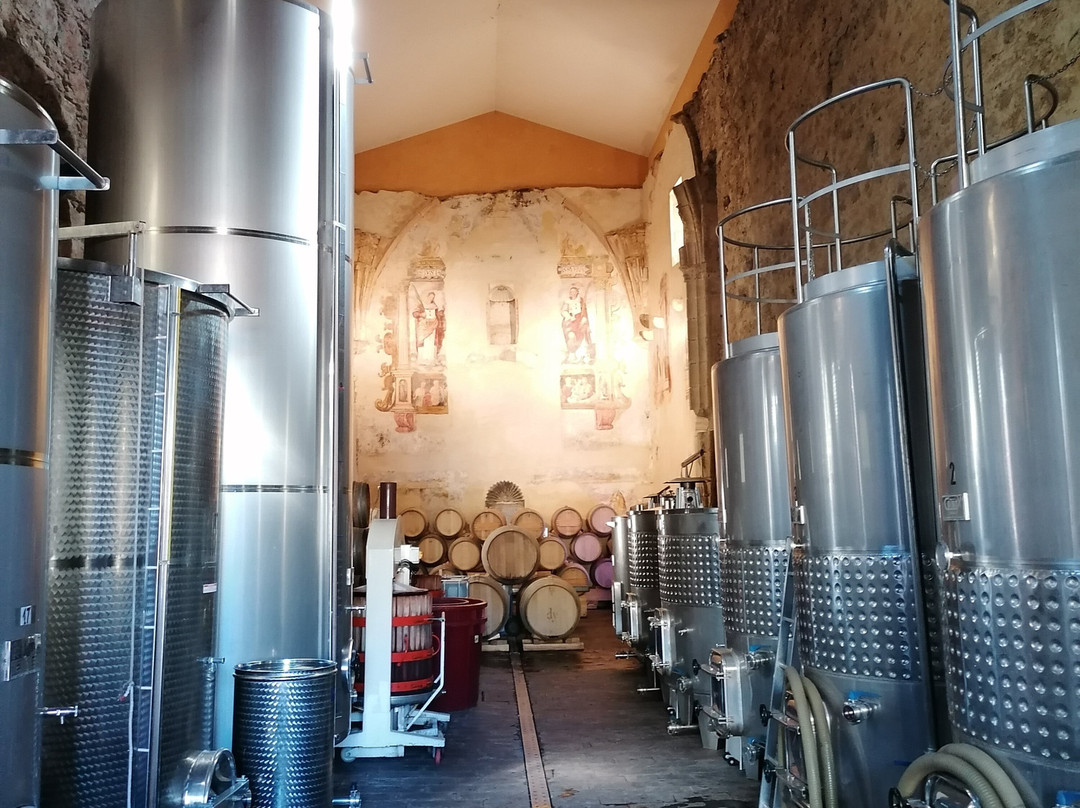 Bodega Descalzos Viejos景点图片
