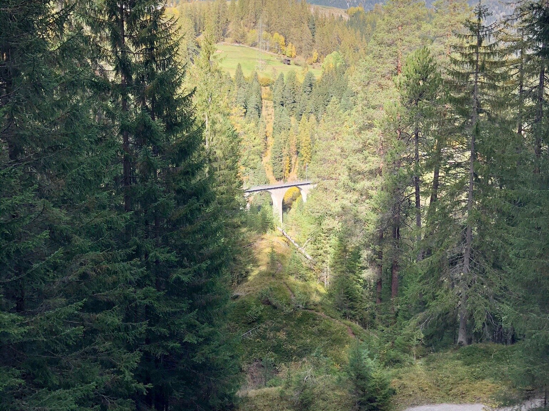 Wiesen Viaduct-Davos Wiesen必去景点