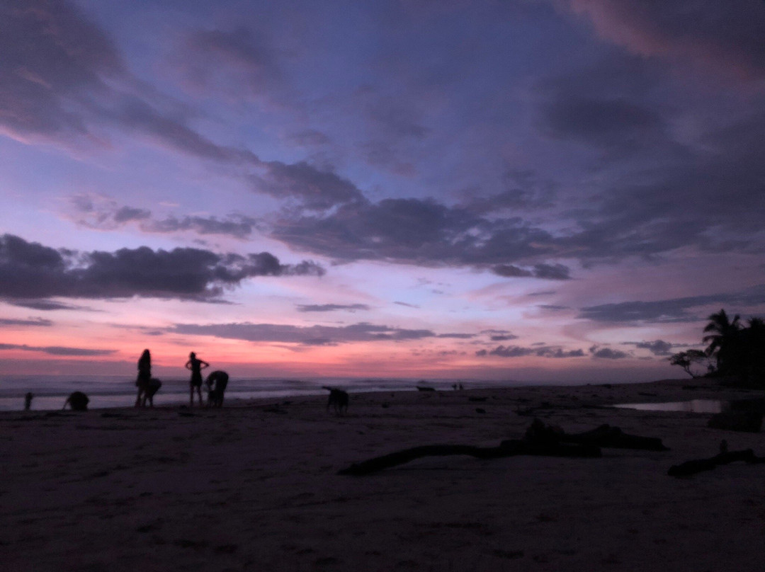 Believe Surf and Yoga-圣特雷莎必去景点