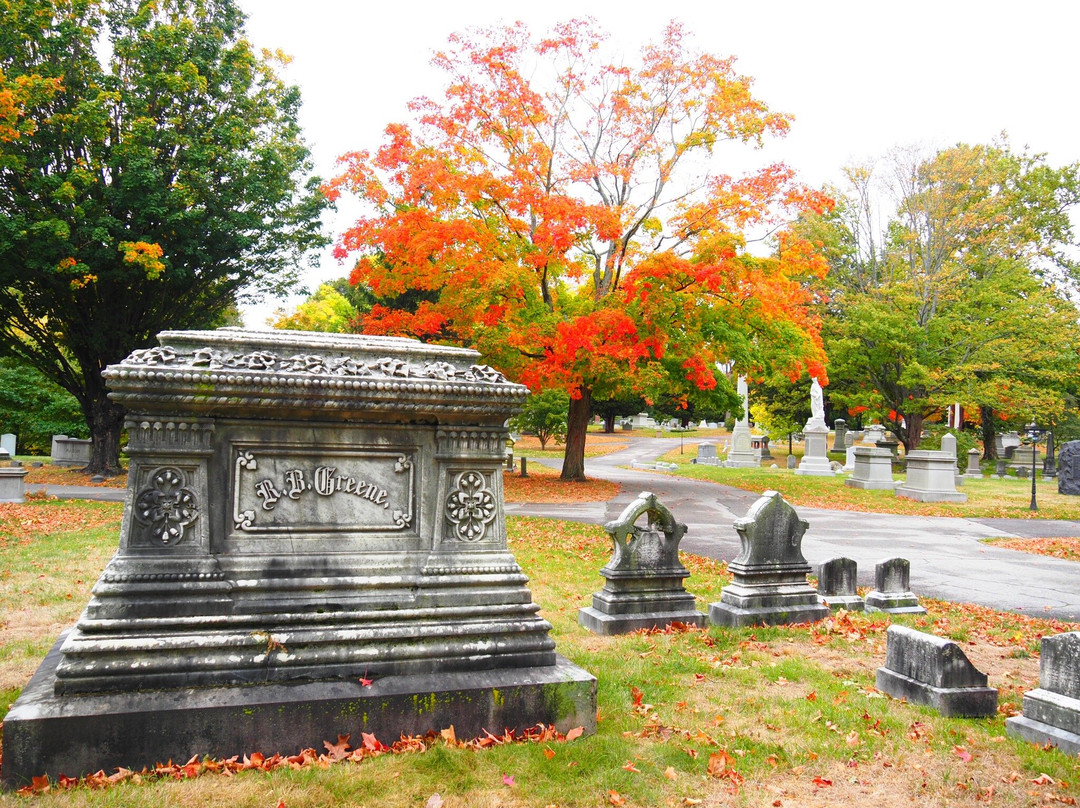 Swan Point Cemetery景点图片
