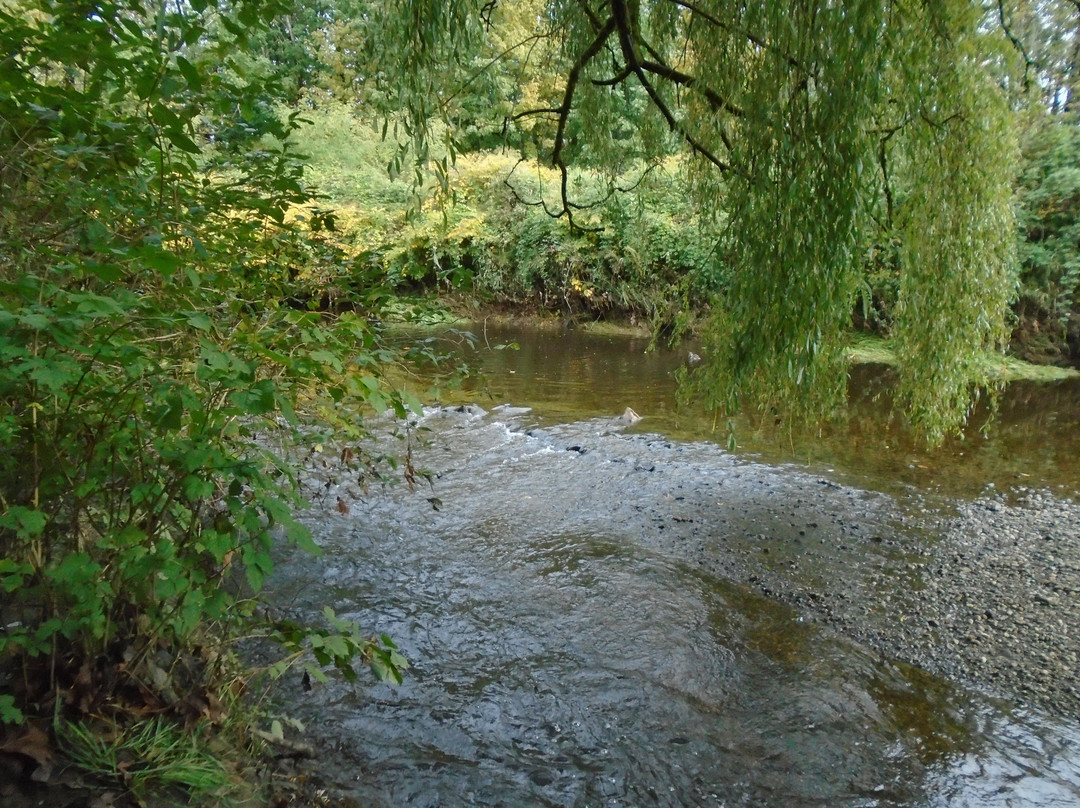 Hume Park景点图片