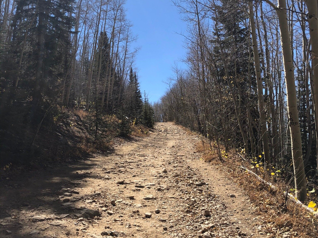 Aspen Vista Trail-圣菲必去景点
