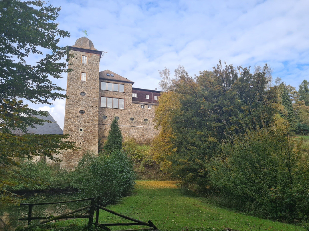 Burg Schnellenberg景点图片