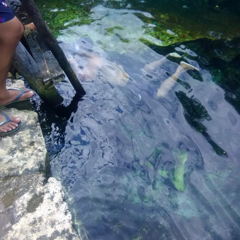 Cenote Cristalino景点图片