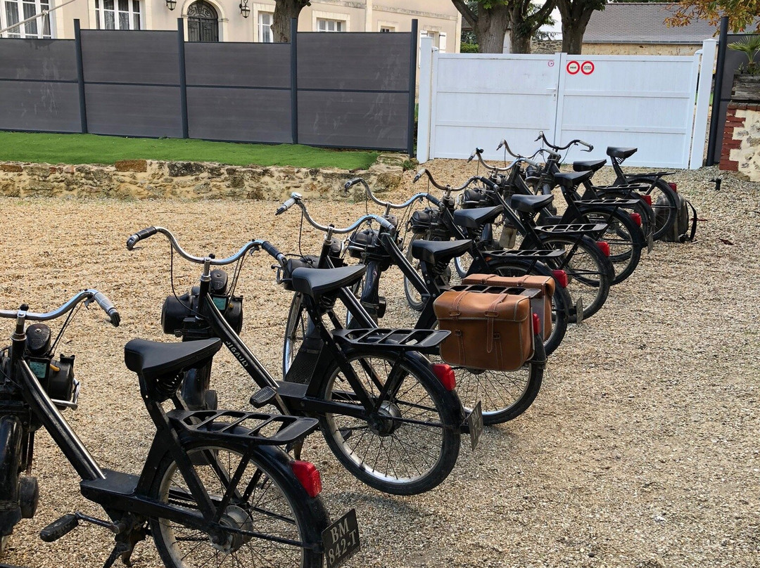 Domaine de Pied-Flond景点图片