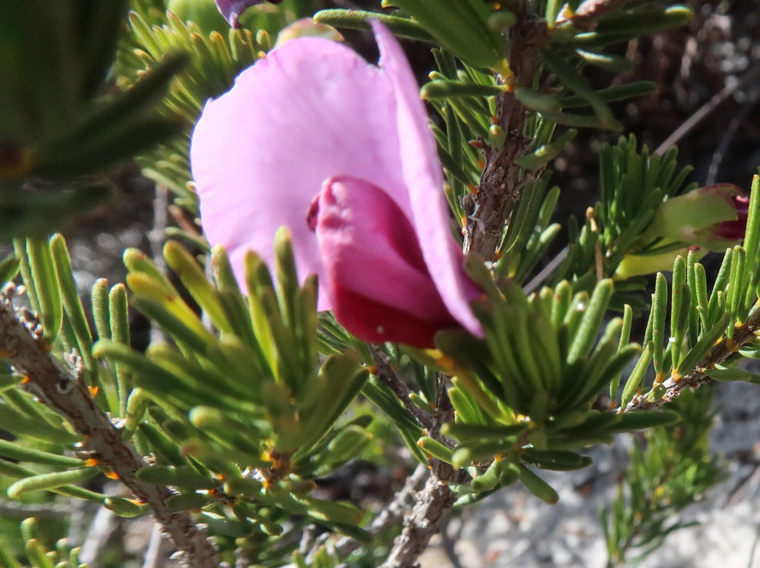 Cave Point-Hopetoun必去景点