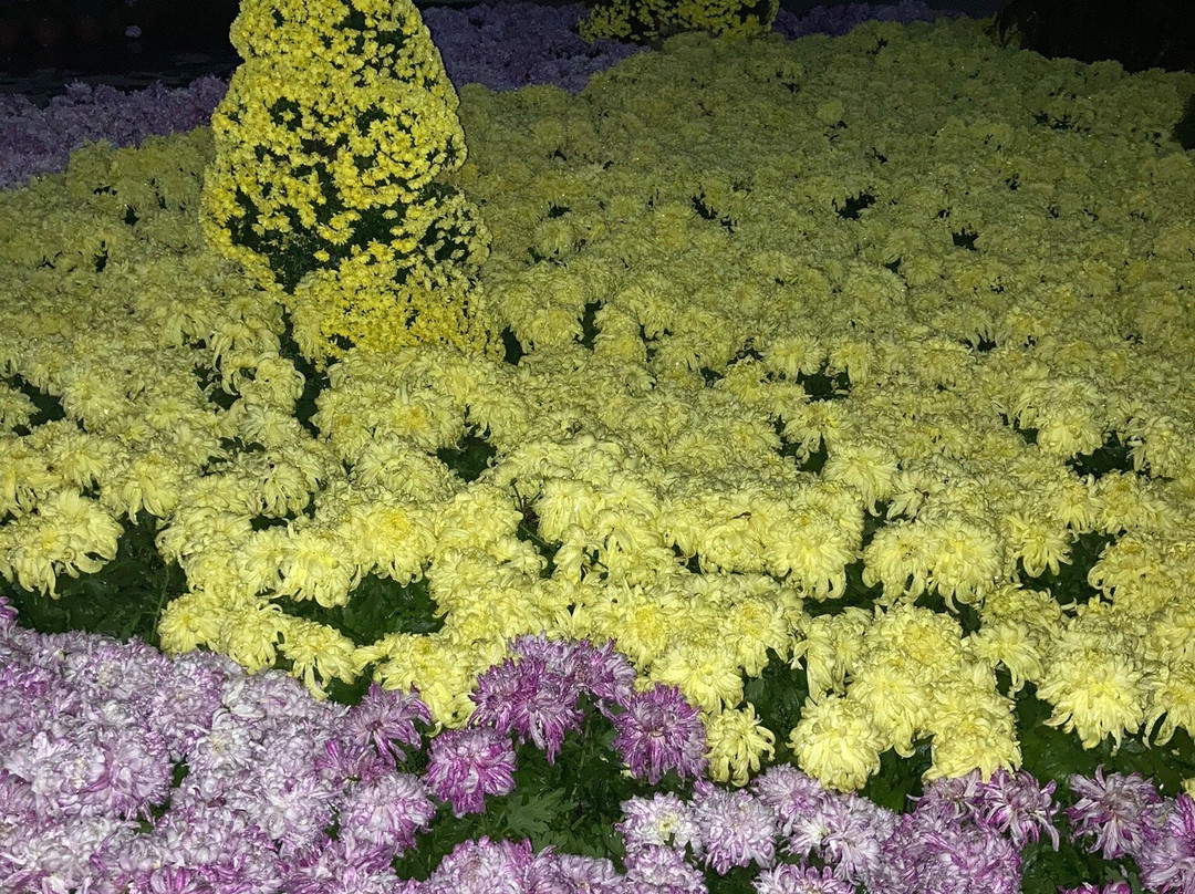 沈阳中山公园-沈阳市必去景点