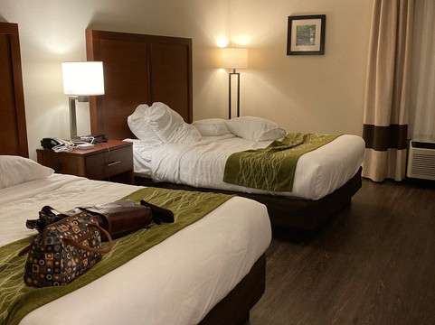 道格拉斯维尔舒适酒店主图