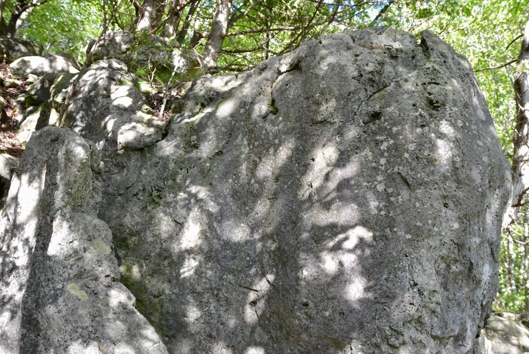 Old Baldy Conservation Area景点图片