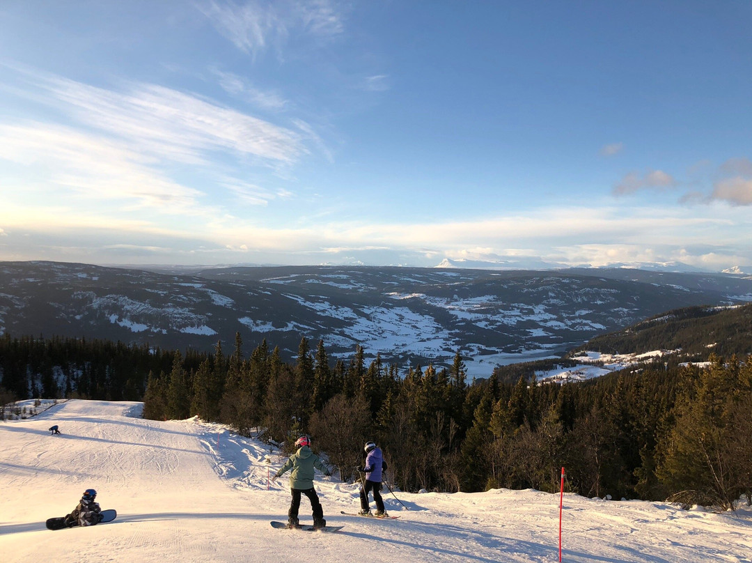 Valdres Alpinsenter景点图片