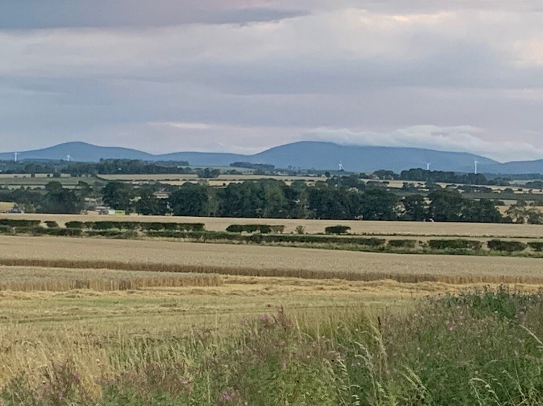 The Island View Inn主图