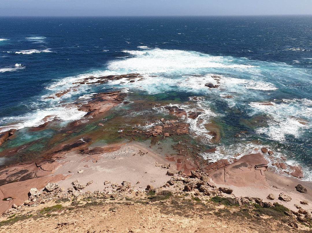 Point Labatt Conservation Park-Streaky Bay必去景点