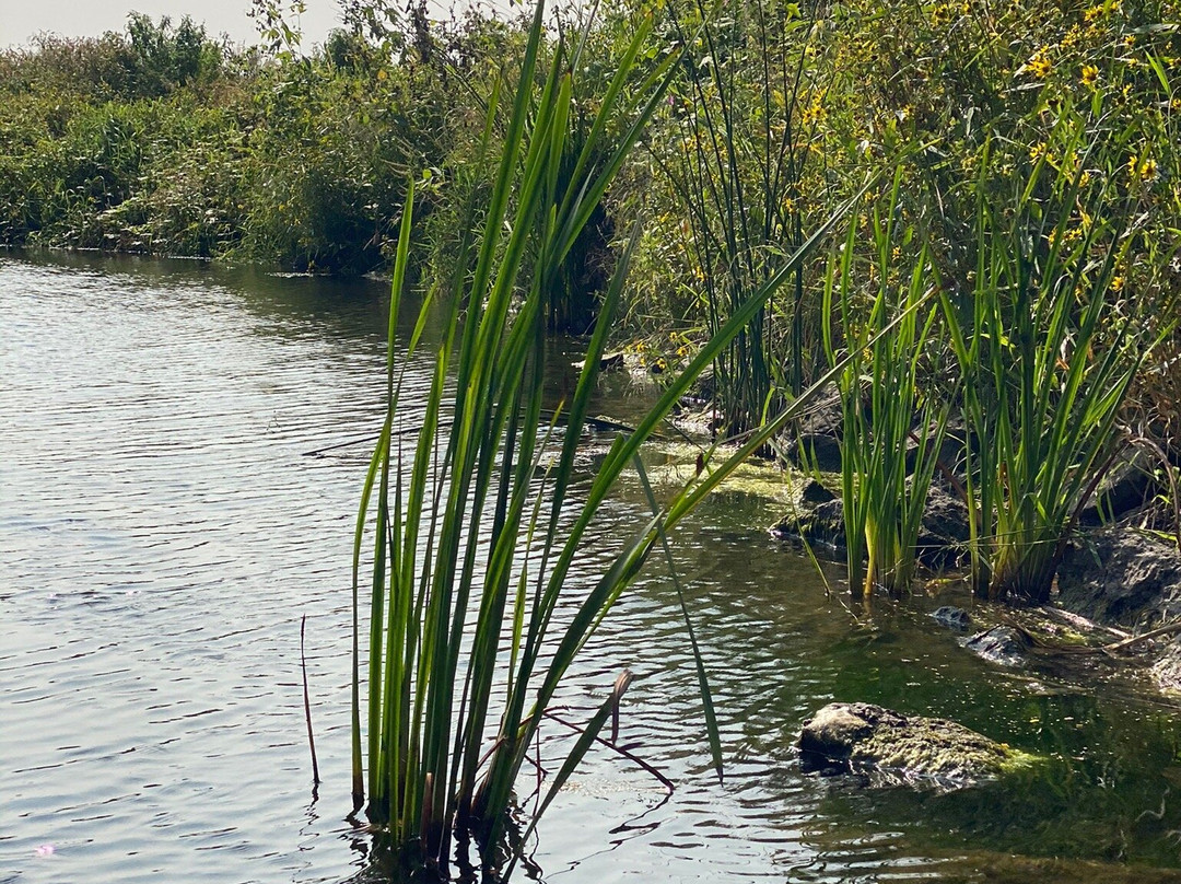 Minnesota Valley National Wildlife Refuge-布卢明顿必去景点