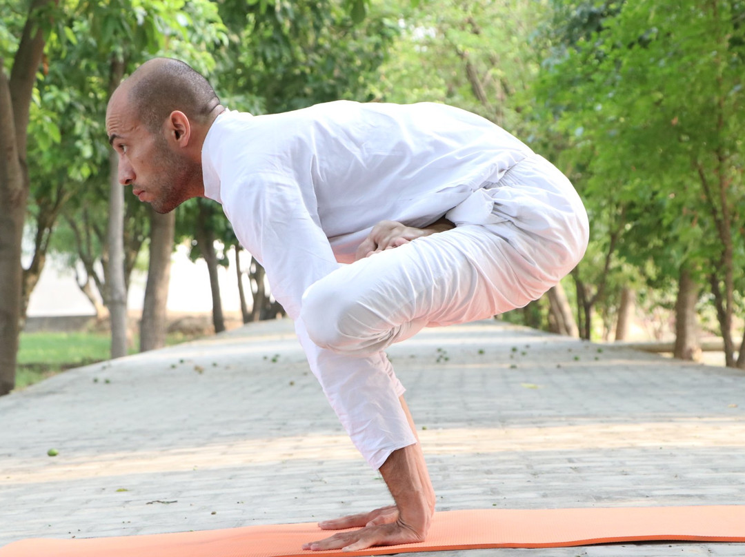 Svadhyaya Kosha景点图片