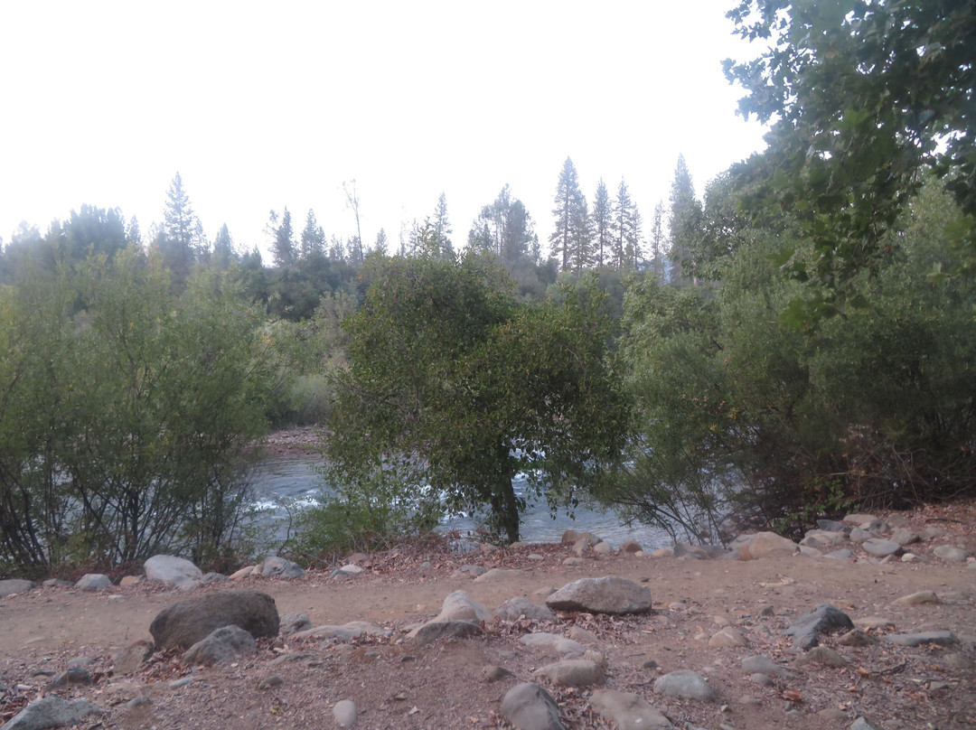 Henningsen Lotus Park-Lotus必去景点