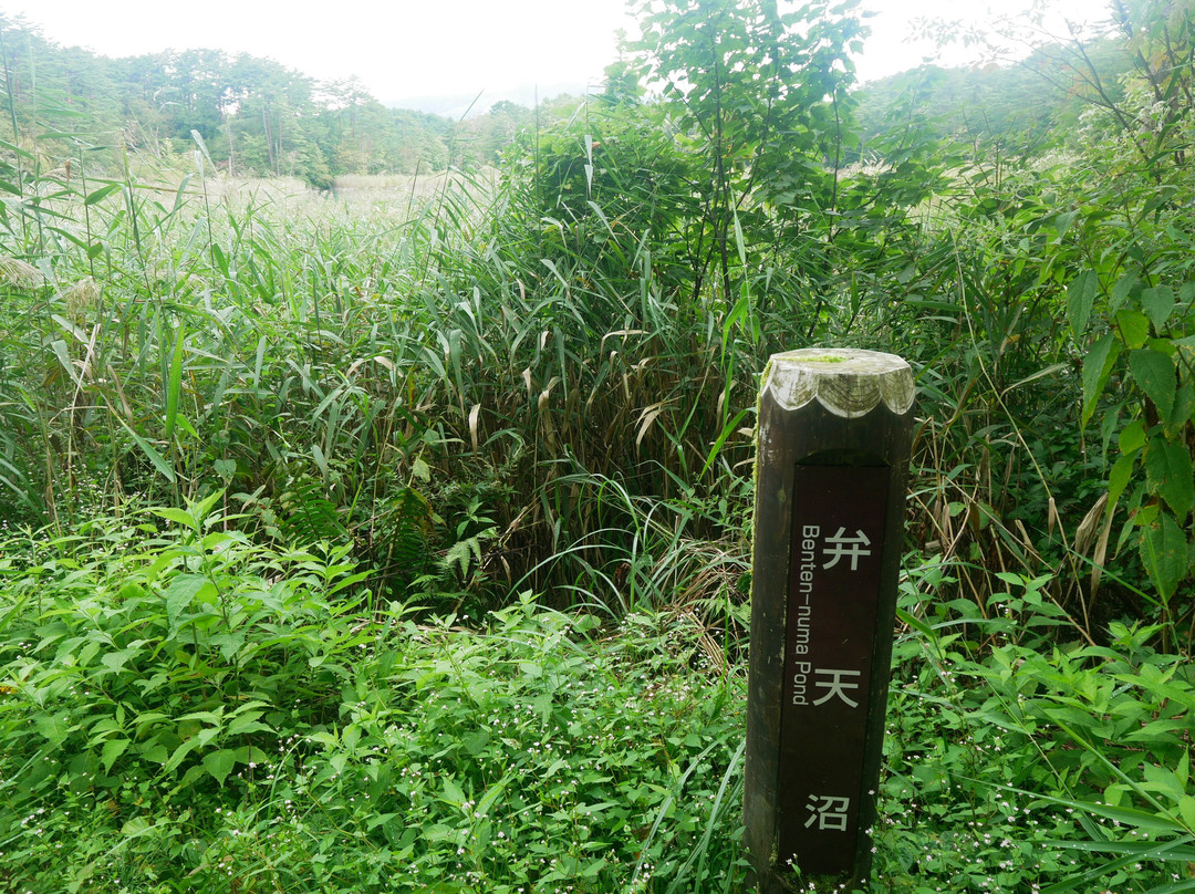 Bentennuma-北盐原村必去景点