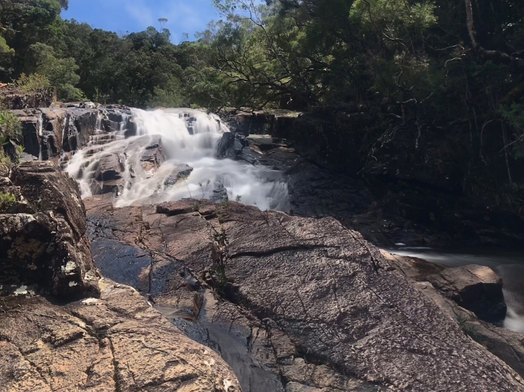 Paluma and Crystal Creek Rainforest-Paluma必去景点
