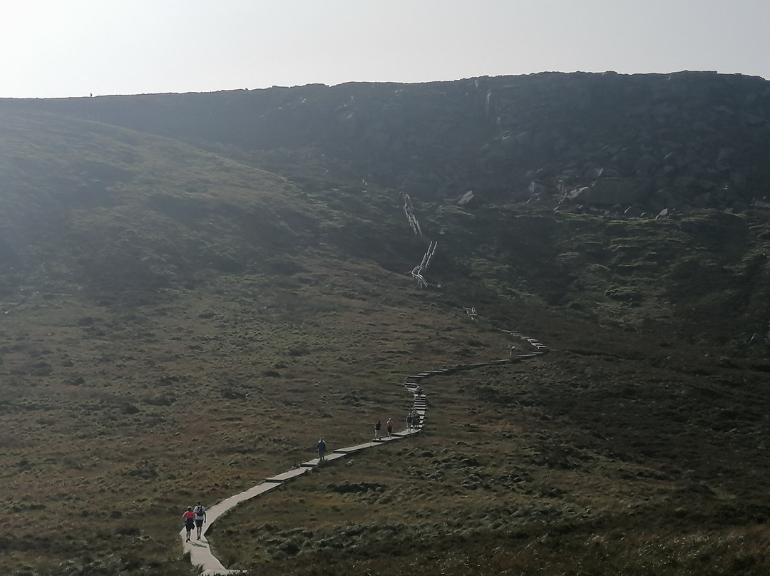 Cuilcagh Mountain Park-Florencecourt必去景点