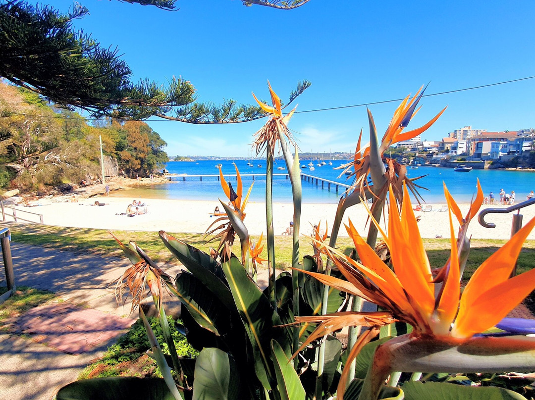 Little Manly Beach景点图片