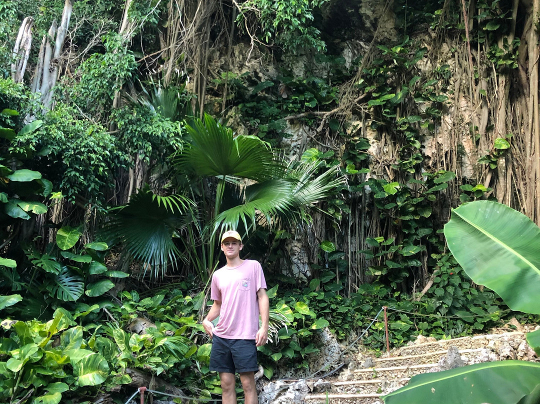 百慕大瑰丽酒店主图