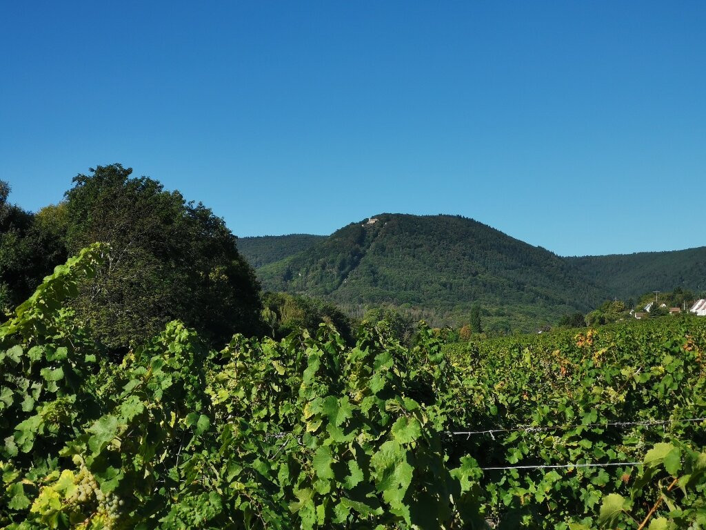 普瑞泽格特酒店主图