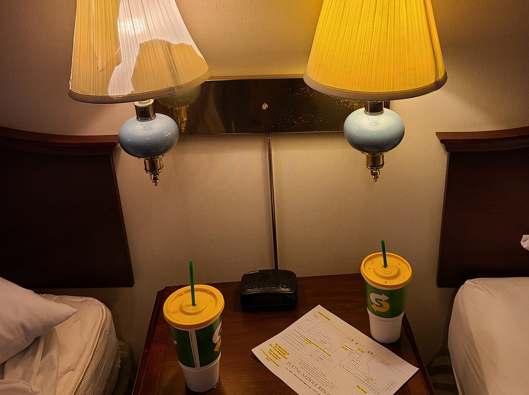 Flying Saddle Resort主图