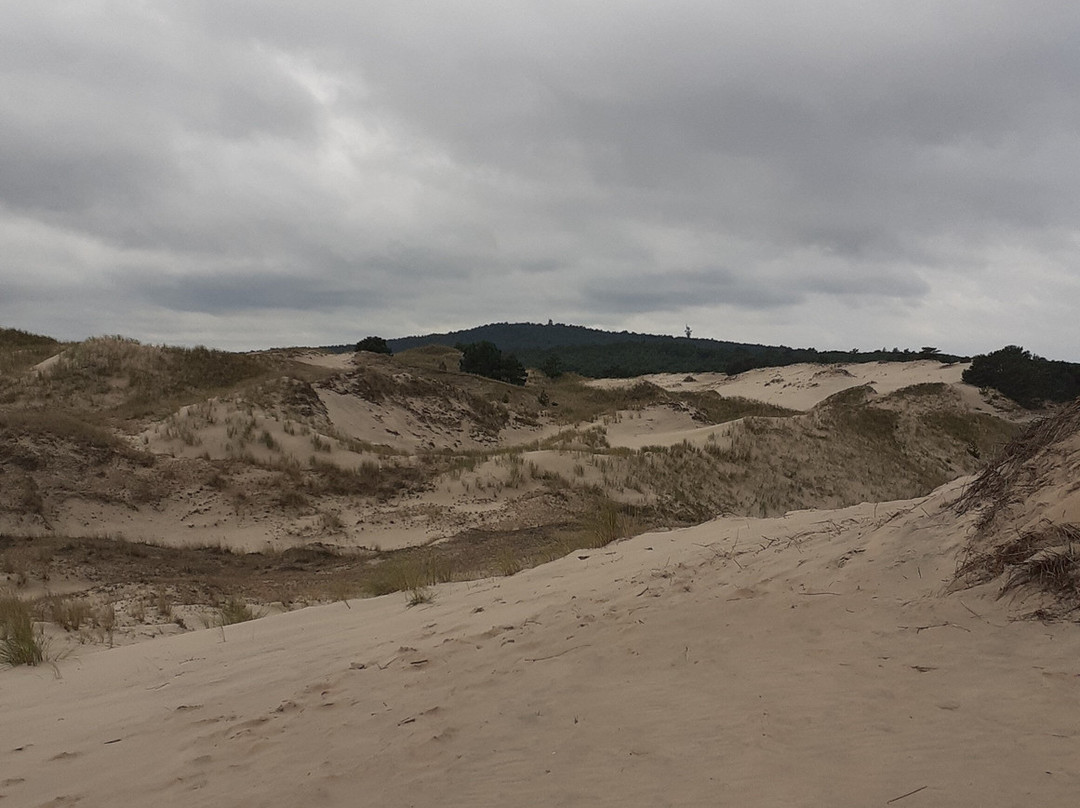 Czappińska Dune景点图片