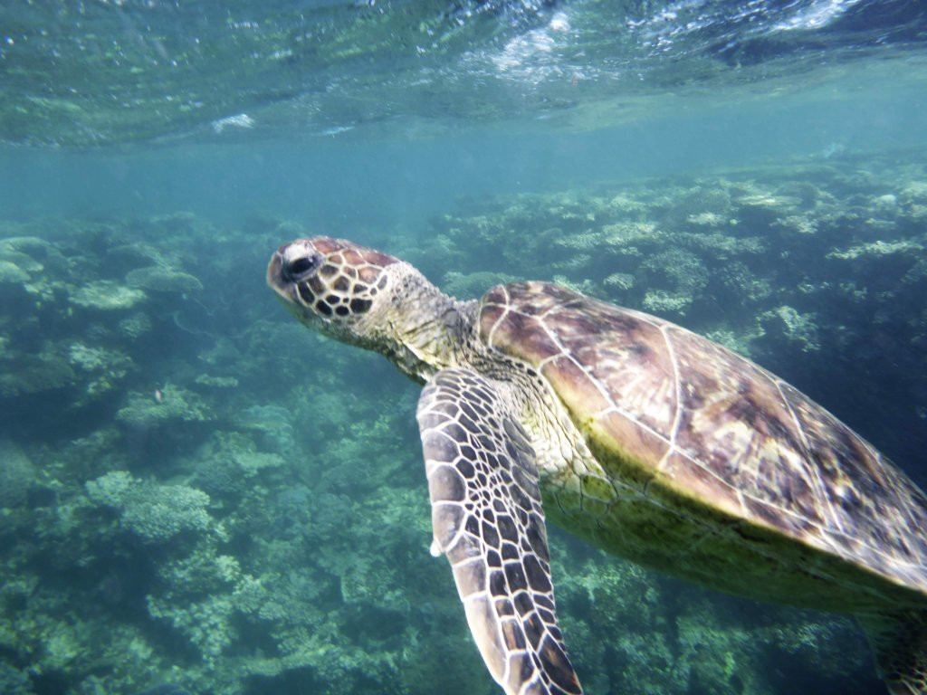 Coral Bay Ecotours-珊瑚湾必去景点