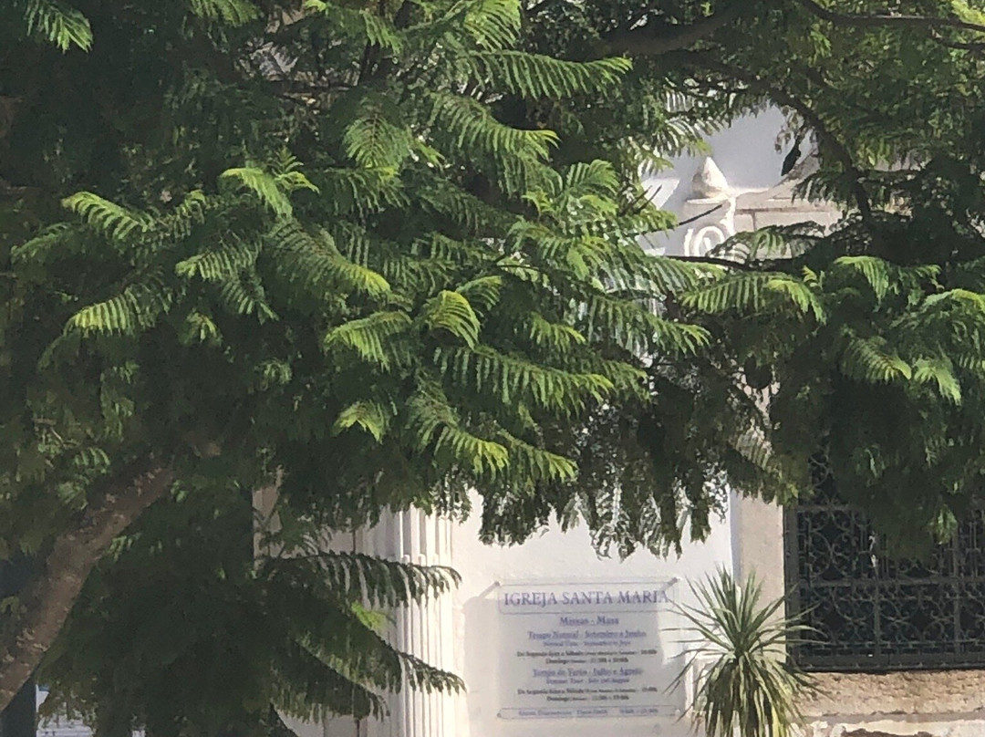 Church of Santa Maria de Lagos-拉各斯必去景点