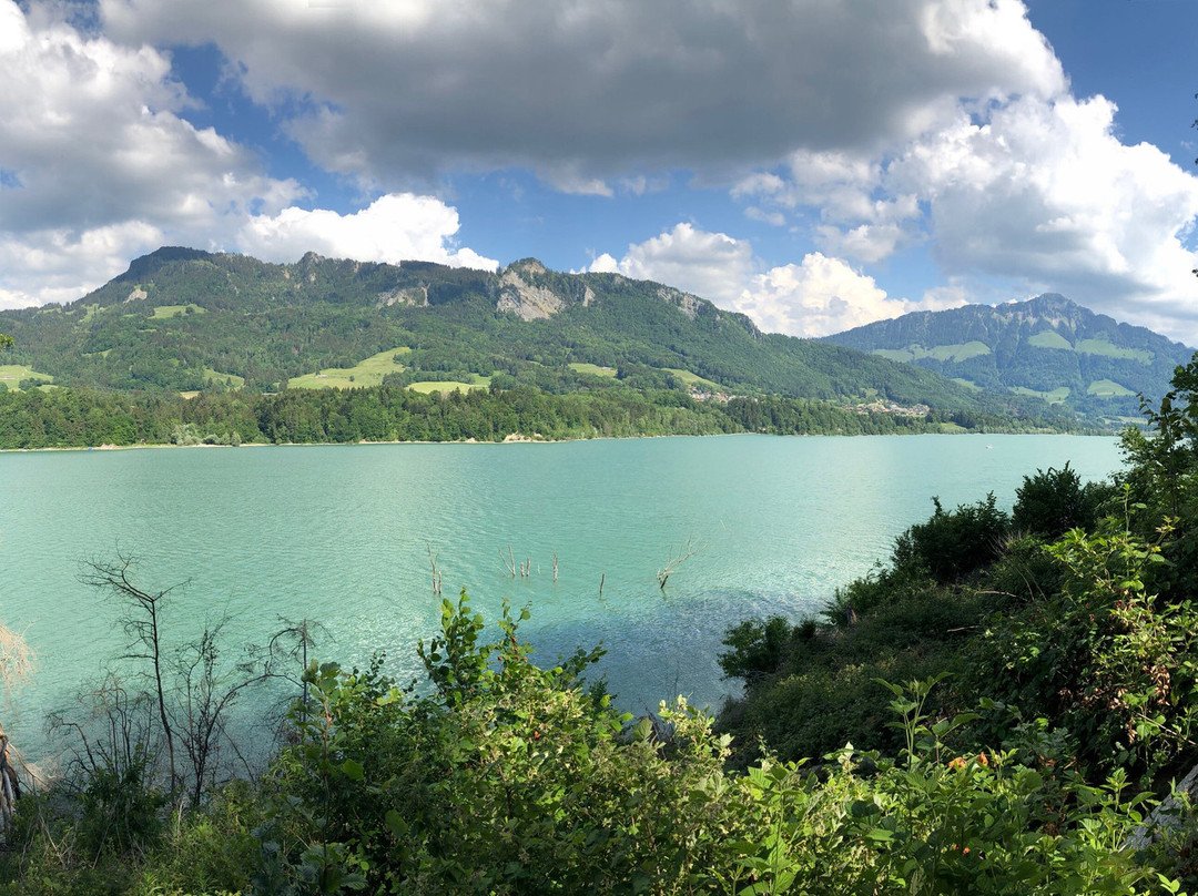 Aventure Gruyère景点图片