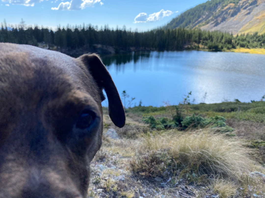 Goose Lake Trail-红河必去景点