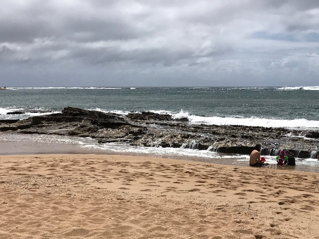 Gualala Point Regional Park景点图片