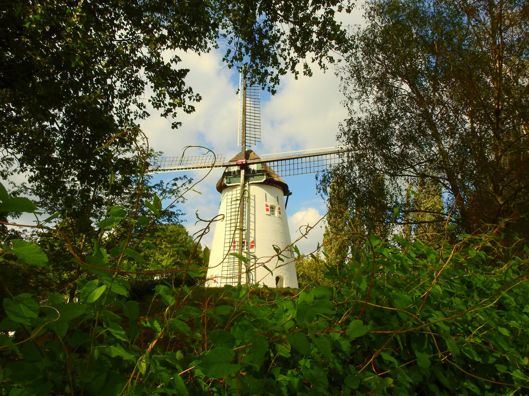 Windmill Keeken景点图片
