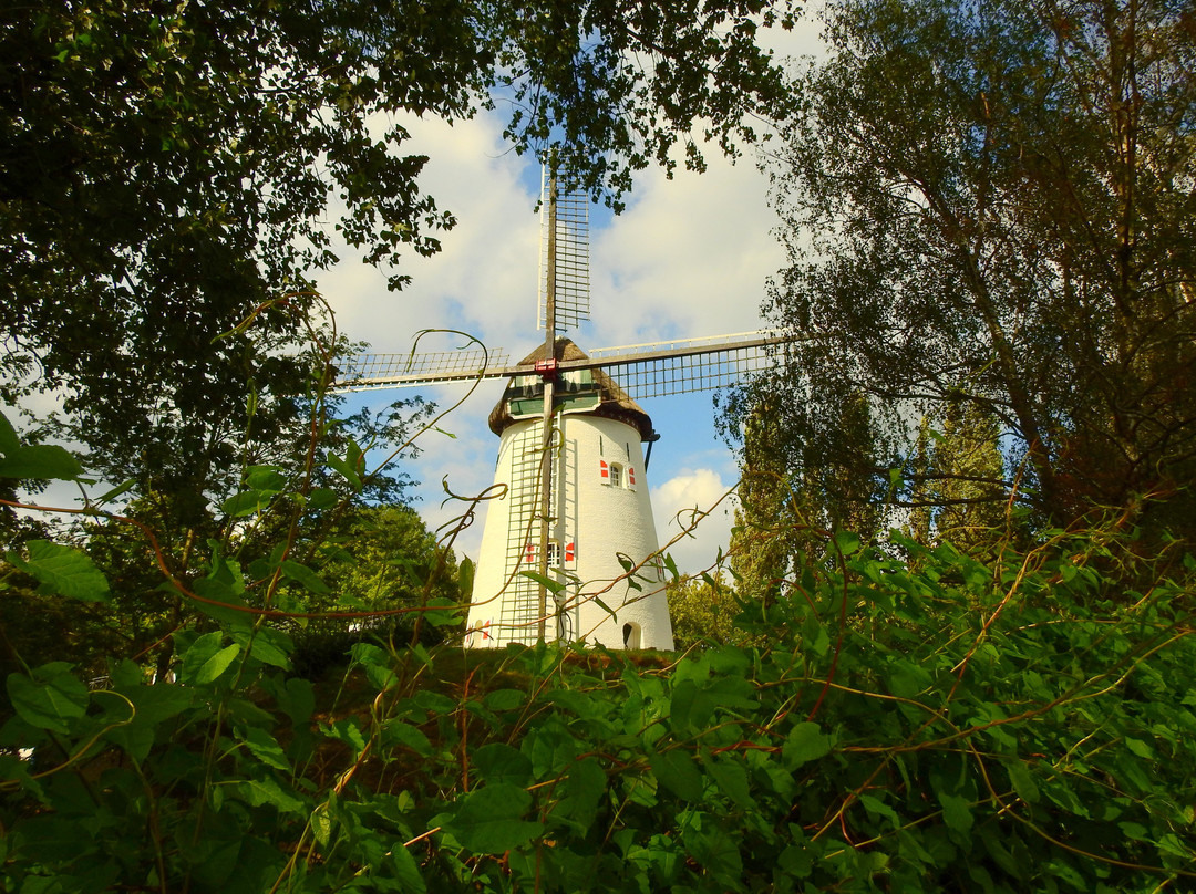 Doornenburg旅游攻略图片