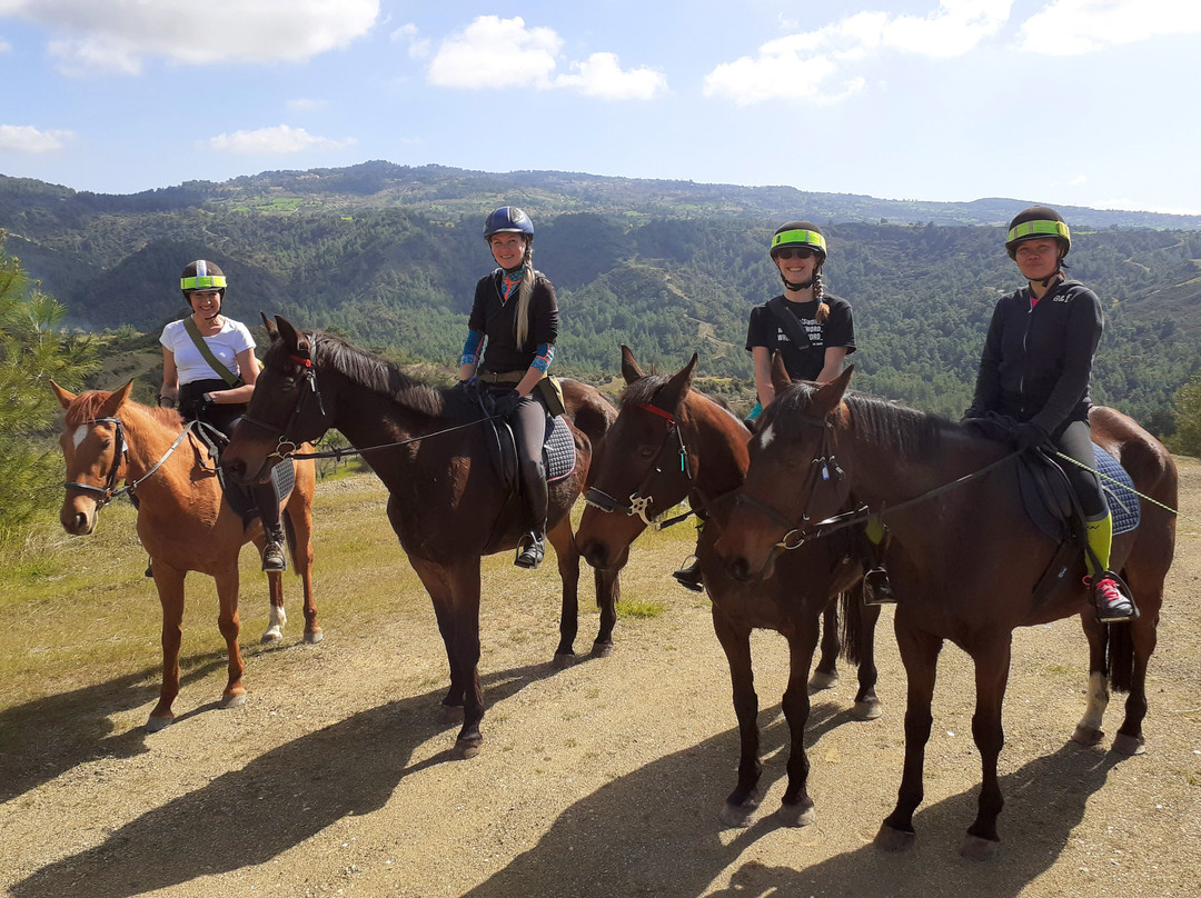 Maria's Horse Trekking景点图片