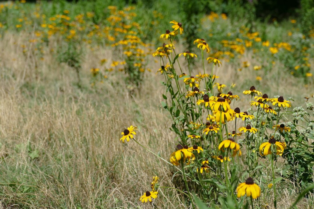 Veteran Legacy Woods Park-Newbury必去景点