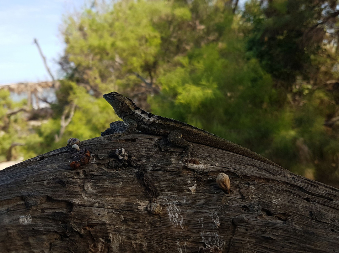 Hostal Grillo Tres Puntas主图