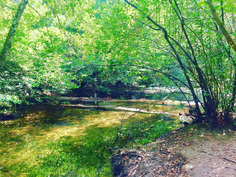 La Brague Park-比奥必去景点