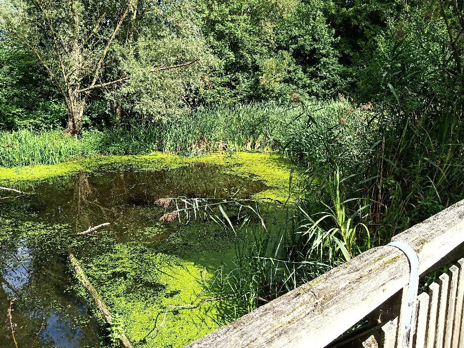 Altmuhlsee Erlebnisspielplatz景点图片