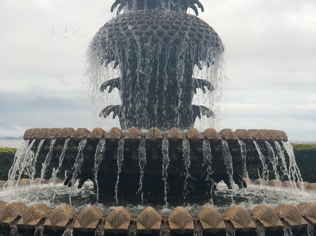 Pineapple Fountain景点图片