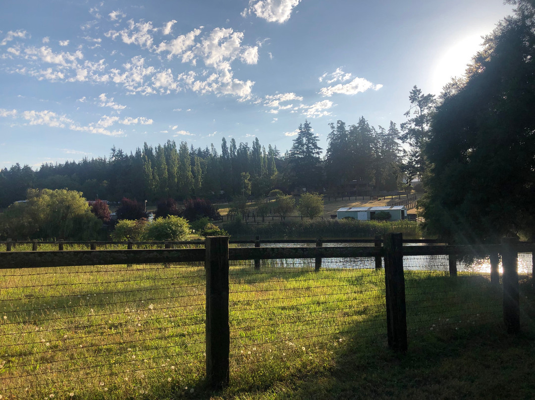 Wildwood Farm Bed and Breakfast主图